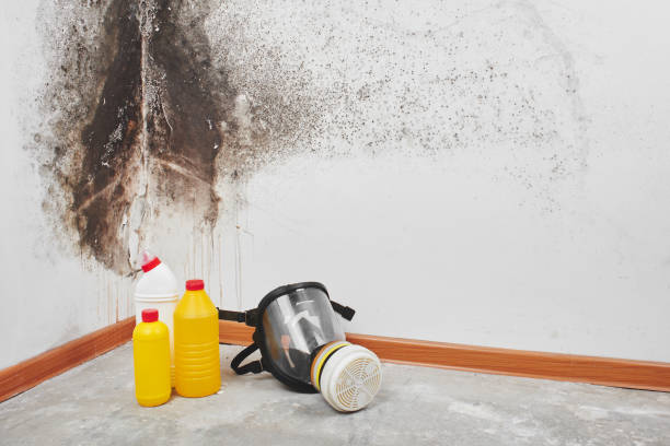 Best Professional Mold Removal  in Red Cloud, NE