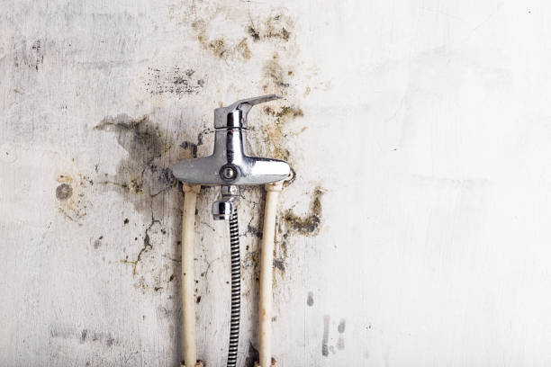 Best Mold Remediation  in Red Cloud, NE