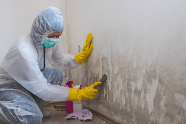 Best Crawl Space Mold Removal  in Red Cloud, NE