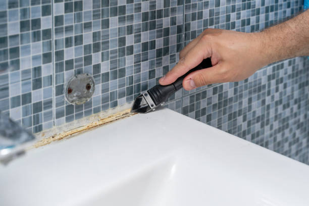 Best Home Mold Removal  in Red Cloud, NE