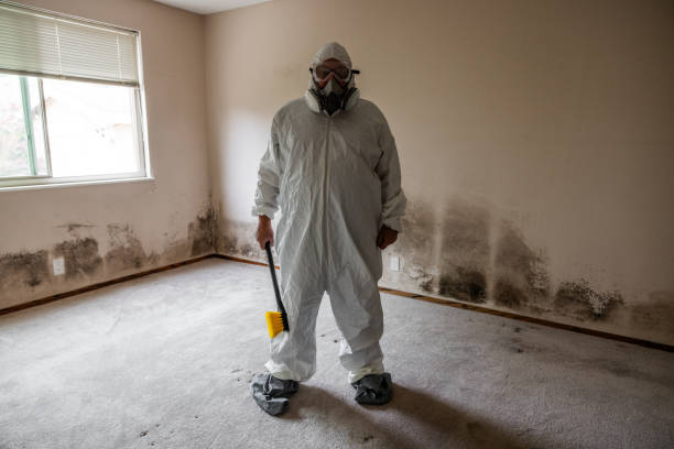 Best Home Mold Removal  in Red Cloud, NE